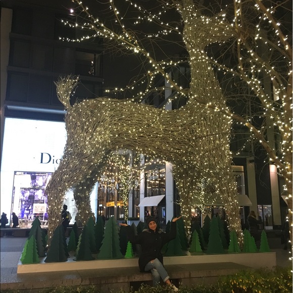 Meet your Posher, Armani - Picture 1 of 1